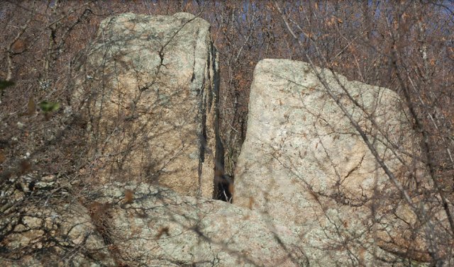 DSC_2108-1