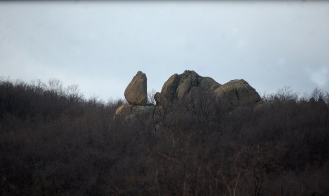 DSC_2178-1