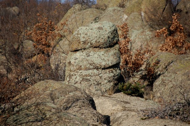 DSC_3717-1~0