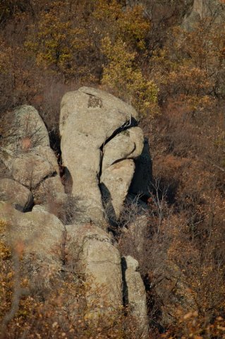 DSC_3747-1~0