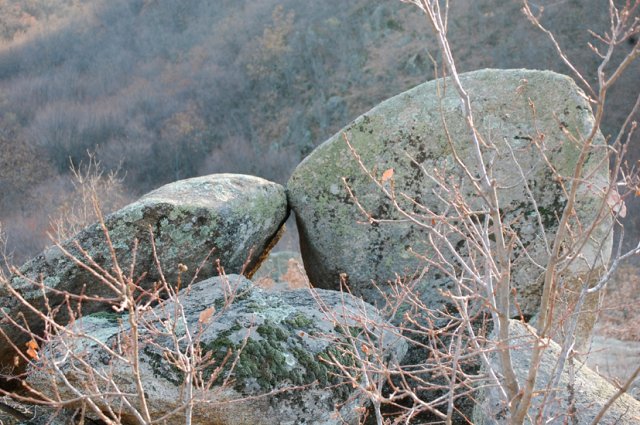 DSC_3759-1~0