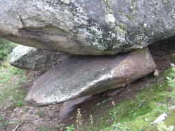 DSC01576-1
