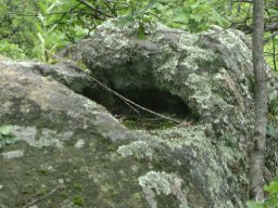 DSC01585-1