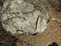 DSC02745-1