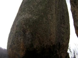 DSC02998-1