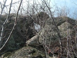 DSC03039-1