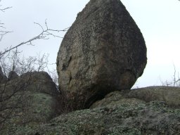 DSC03080-1