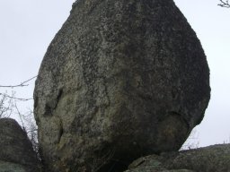 DSC03082-1