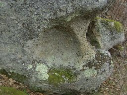 DSC03133-1