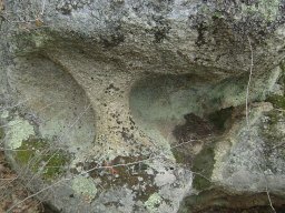 DSC03134-1