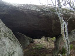 DSC03398-1