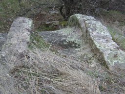DSC03414-1