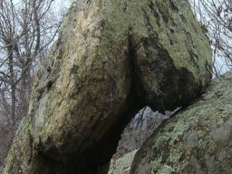 DSC04948-1
