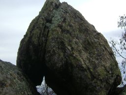 DSC04968-1