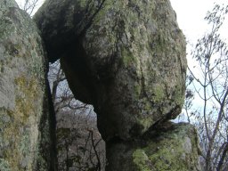 DSC04969-1