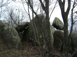 DSC04974-1