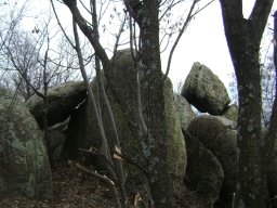 DSC04975-1