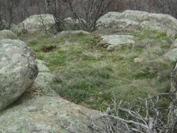 DSC04999-1