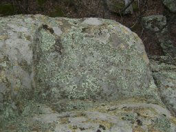 DSC05001-1