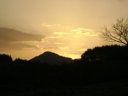 DSC05133-1
