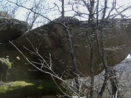 DSC05284-1