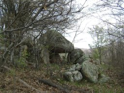 DSC05344-1
