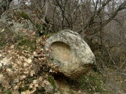 DSC07680-1