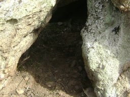 DSC07685-1