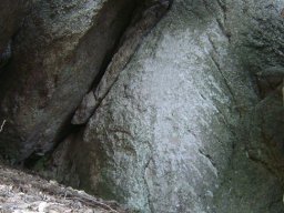 DSC07689-1