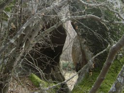 DSC07693-1