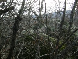 DSC07695