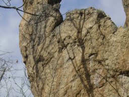 DSC07716-1