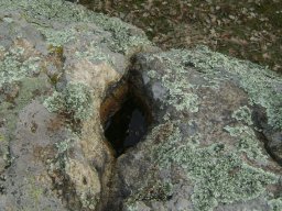 DSC07768-1