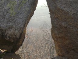 DSC07784-1