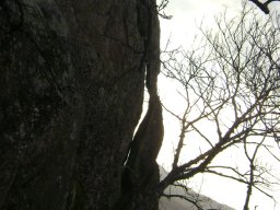 DSC07786-1