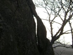DSC07788-1