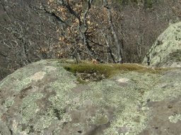 DSC07814-1