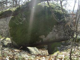 DSC07845-1