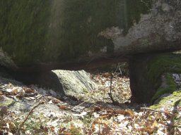 DSC07846-1