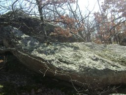 DSC07866-1