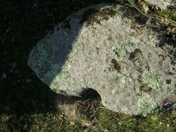 DSC07879-1