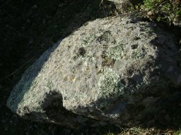 DSC07881-1