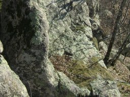 DSC07893-1