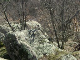 DSC07894-1