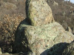 DSC07923-1