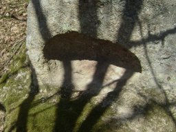 DSC08056-1