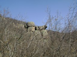 DSC08115-1