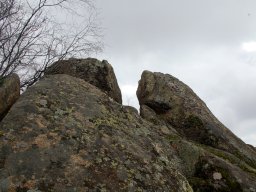DSC_1590-1