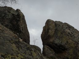 DSC_1592-1