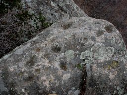 DSC_1617-1